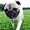 pO}Oʐ^W4